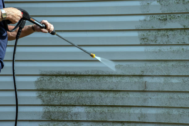 Best Window and Screen Pressure Cleaning in Petal, MS